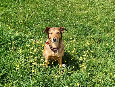 Tak kam se vydáme tentokrát bábinko?