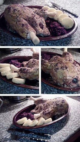 Kačena za všech stran - základ ořechová roláda