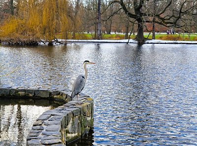 Tak prý mám v Mikulovicích příbuzné