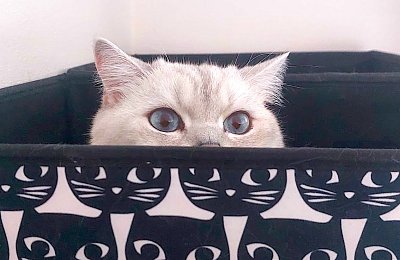 Z mého deníku: Poslední zápis