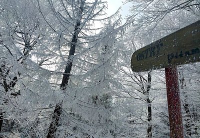 Jen zoufalec chodí sám po horách