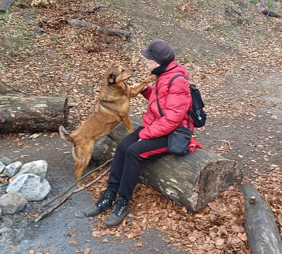 Copak chceš Dorinko?