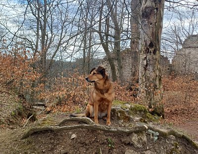 To je zkrátka zlatííííčko Dorinka. Kam jí posadíš, tam počká.