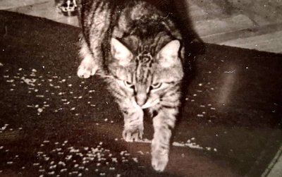 Kryštof a jeho neřesti