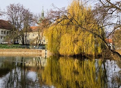 V teplickém zámeckém parku