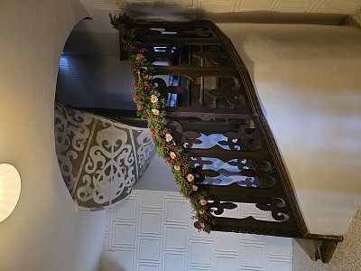 Ve vánoční parádě.