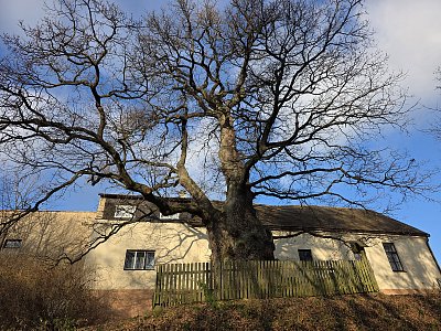 Strážce hradu Lichnice.
