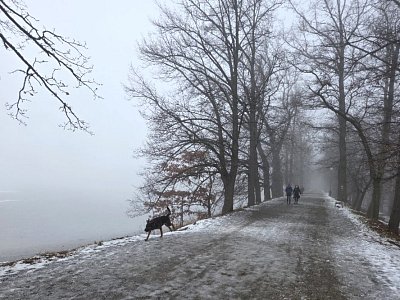 Svět se ztrácí v mlze