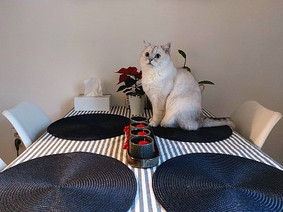 Hezkou adventní neděli