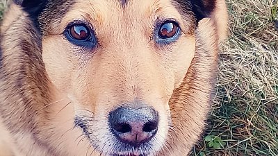 Výraz očí nelže.*