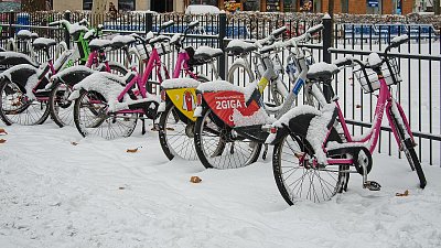 Ten den si nezajezdila...