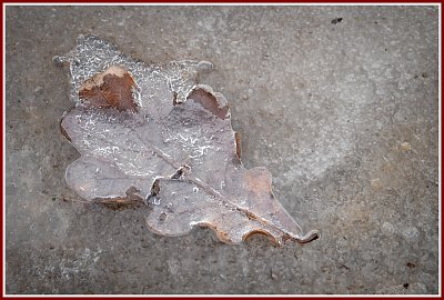 Na rozloučenou s lednem