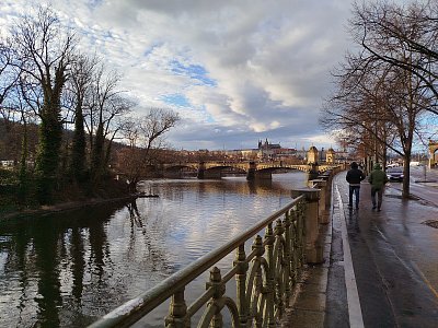 Čerstvě opláchnutá deštěm *