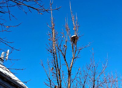 Dvě malá křídla tu nejsou...