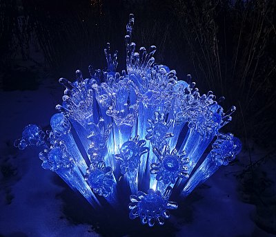 Křišťálová zahrada