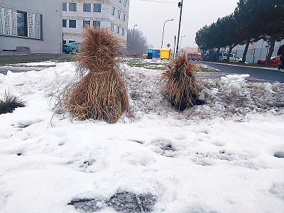 Smím prosit? No asi jo, ale *