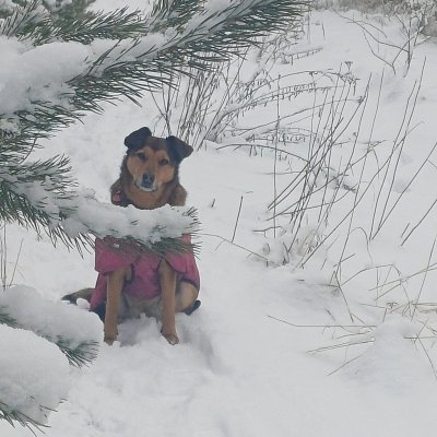 Páteční toulání s Dorinkou  okolo Vratislavic.