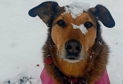 Spadla na mne " lavina "..