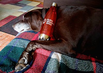 Dneska to mám u Šárky All Inclusive *