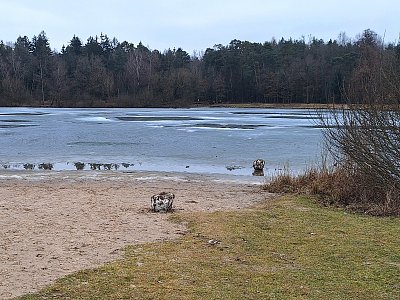 Zamrzám, rozmrzám...