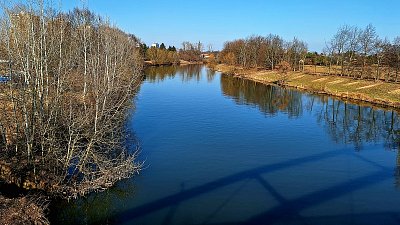 Přináším vůni předjaří*