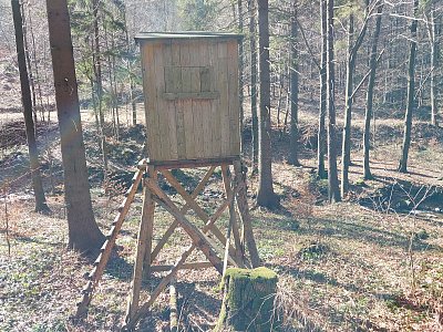 Kupodivu je to to, co to je