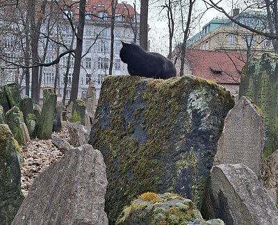 Židovský hřbitov v Praze