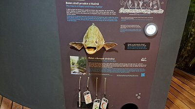03.Kácov a okolí 3.den