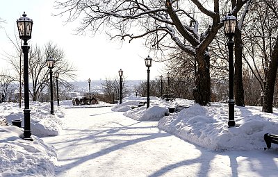 dTest: Zimní úrazy chodců: cesta k náhradě škody