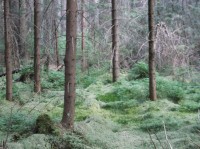 Cestička k Bublavému prameni