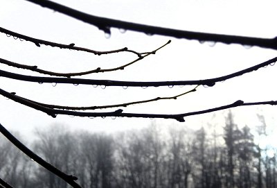 Průhledné korálky