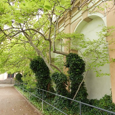 Odstíny zelené barvy