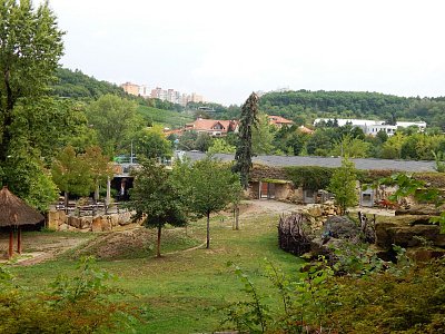 Paneláky nad ZOO