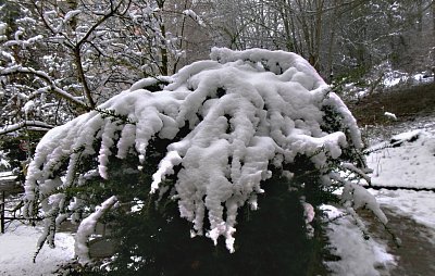 Bílá deka, aspoň mi nebude zima.