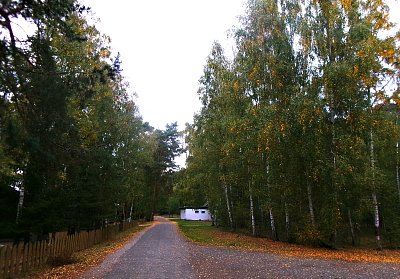 A jde se na houby. *