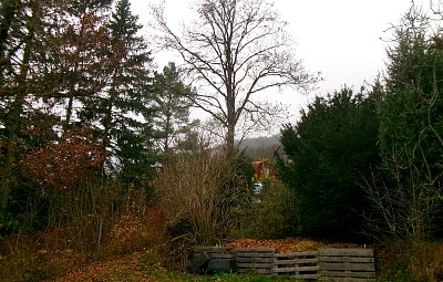 Zima už se blíží*