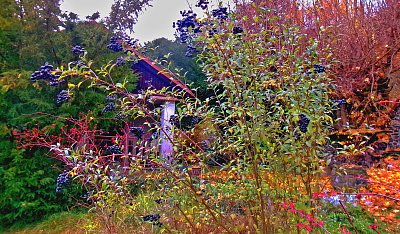 Podzim si ještě hraje *