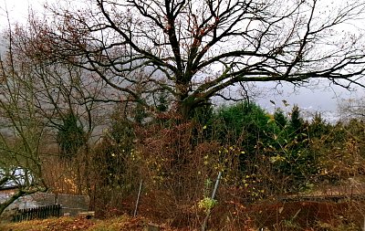 Podzim už se pomalu loučí *