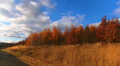 Dnes už je tam asi sníh *