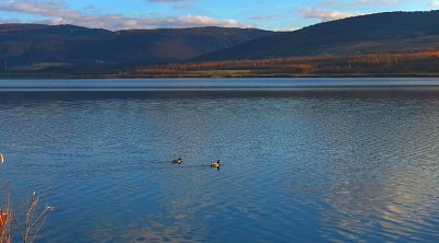 Přidej, ať nám to hejno neuletí.