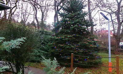 I zvířátka mají vánoce *