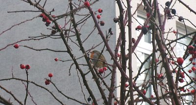 Trochu si tu odpočinu.*