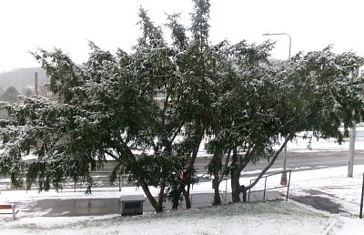 Letos poslední foto dne*