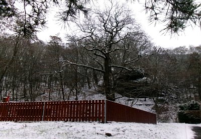 Sníh je tu pořád *