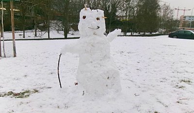 Sám voják v poli. *