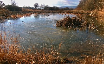 Odpoledne v přírodě