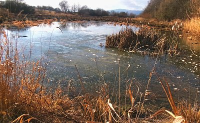Odpolední procházka na Střížáku*