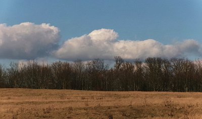 Čekání na jarní zelenou *