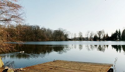 Zámecký rybník u Chlumce *