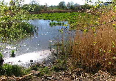 Takhle vypadám po zimě *